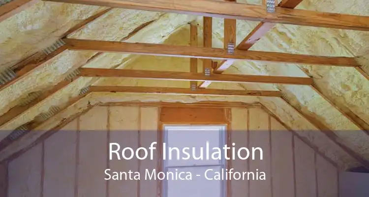 Roof Insulation Santa Monica - California