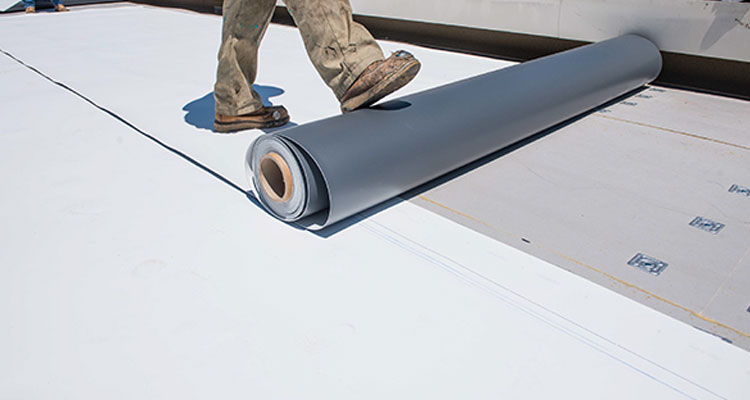 Thermoplastic Polyolefin Roofing Santa Monica